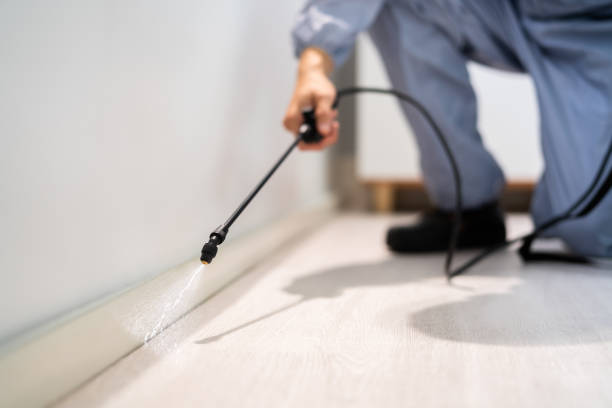 Bed Bug Pre-Treatment Preparation Assessment in Banning