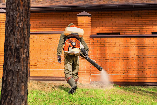 Bed Bug Clearance Verification and Documentation in Banning